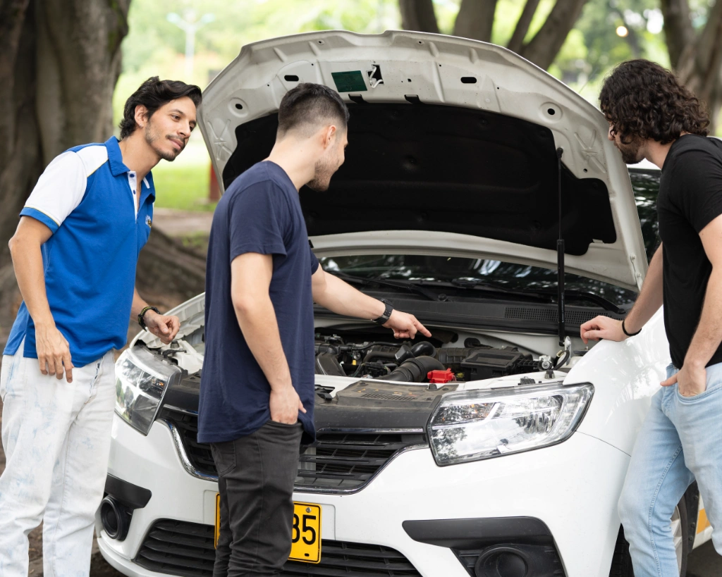 Asesoría en tránsito y transporte
